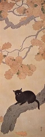 黒き猫